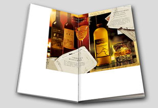 新京集團 靈智飛揚 品牌設(shè)計公司 北京廣告公司 北京平面設(shè)計公司 400 808 0959